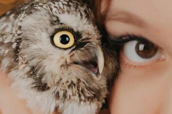 Kasino MR Fortune Podpora